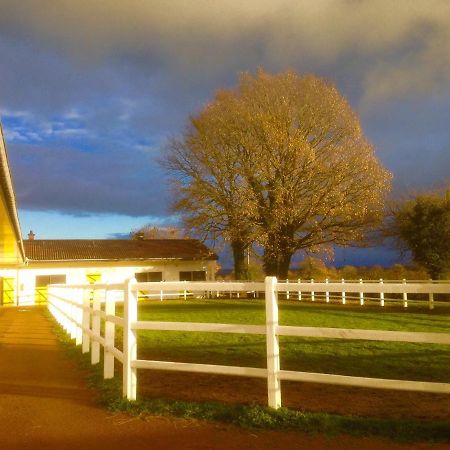Ferienwohnung Le Haras Du Favry Palinges Exterior foto